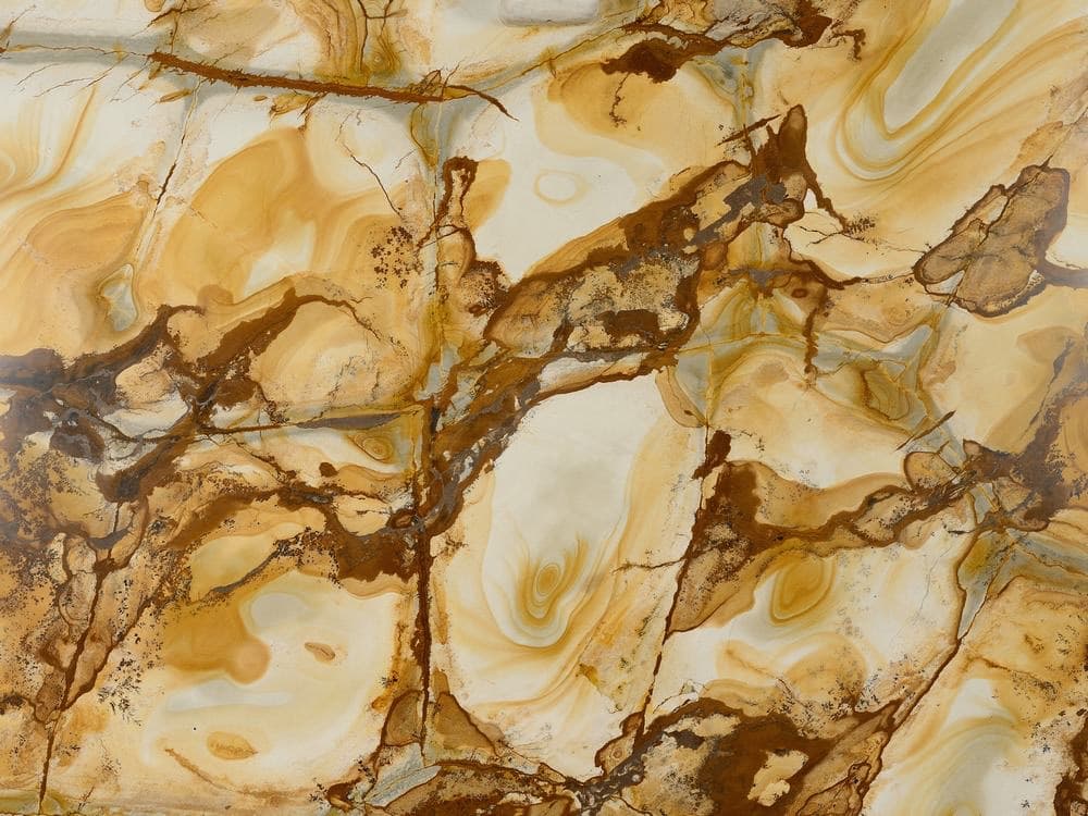 Wood Stone — próbka kamienia